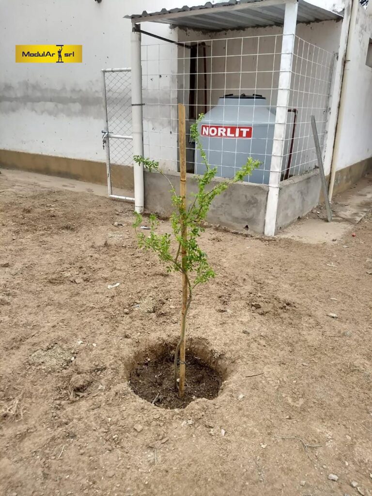 Jardín de Infantes Estación Atamisqui — foto 16