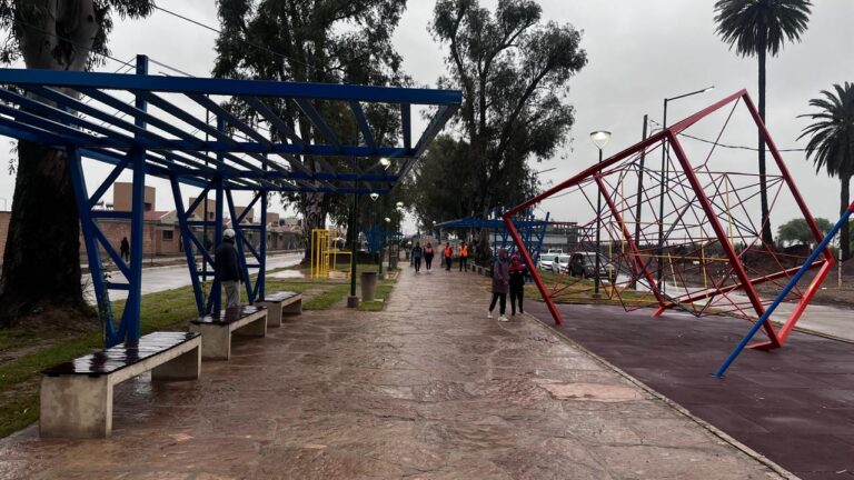 Paseo Lineal Bº Parque del Río I — 08/10/2024, foto 5