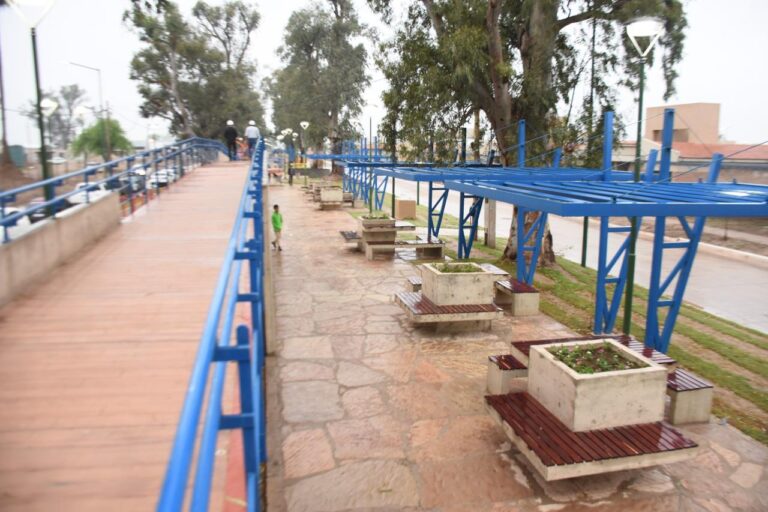Paseo Lineal Bº Parque del Río I — 08/10/2024, foto 4