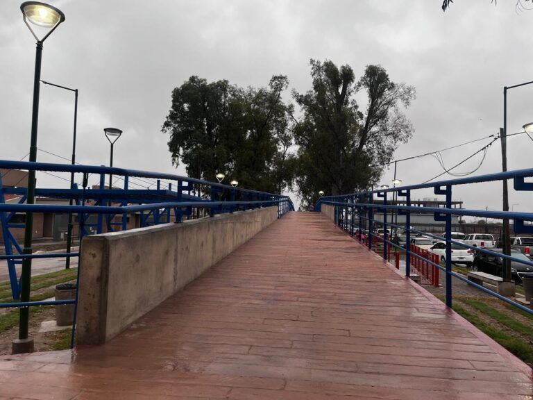 Paseo Lineal Bº Parque del Río I — 08/10/2024, foto 14