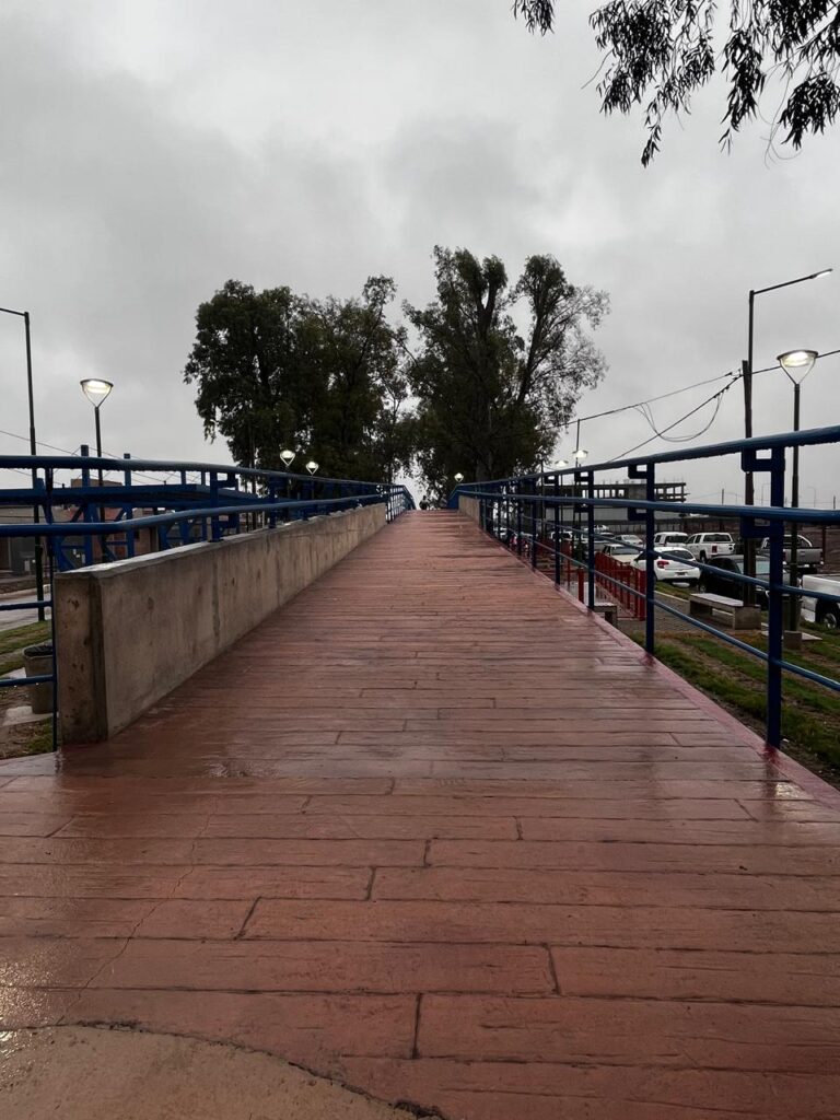 Paseo Lineal Bº Parque del Río I — 08/10/2024, foto 16