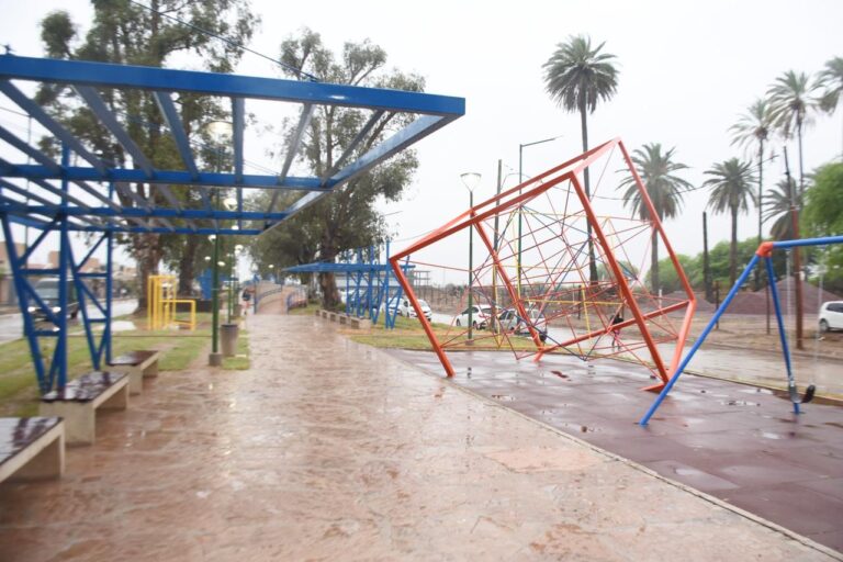 Paseo Lineal Bº Parque del Río I — 08/10/2024, foto 11